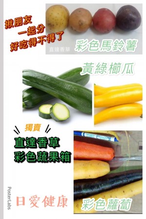 彩色蔬果10公斤（節瓜 彩蘿 彩芋混搭）免運