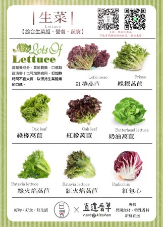 選你愛生菜萵苣蔬菜箱 
