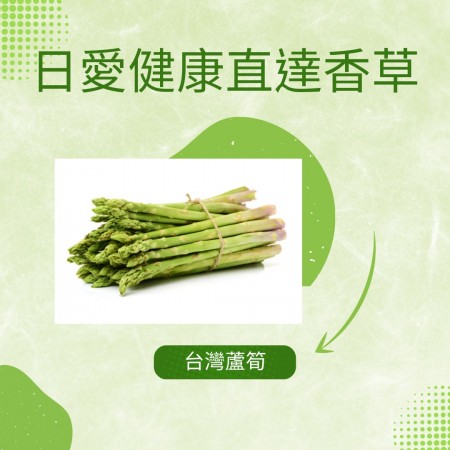 台灣新鮮綠蘆筍中大根
