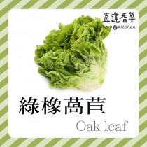 直達香草 綠橡萵苣300克Oak lettuce 