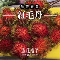 台灣鮮採小農紅毛丹