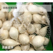 直達香草 珍珠洋蔥 100克 pearl onions