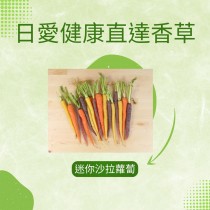 直達香草 迷你沙拉蘿蔔 baby carrots  100克