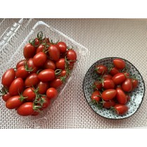 溫室玉女番茄 桃太郎番茄 無毒栽培 免運組合