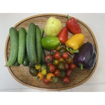 繽紛蔬果盒699免運組（彩椒＋水果小黃瓜＋彩色番茄）