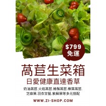 免運 直達香草 綜合萵苣生菜（適合包肉新鮮清脆） 1000 克可加購韓國紫蘇葉