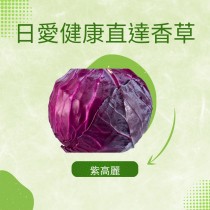 直達香草 紫高麗 800~1000克