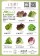 紅橡萵苣 300克Oak lettuce 