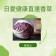 直達香草 紅菊苣（紫包心) 繁盛期特賣活動2斤499免運